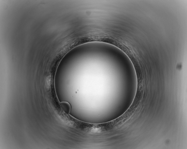 X0000099520647200805221444