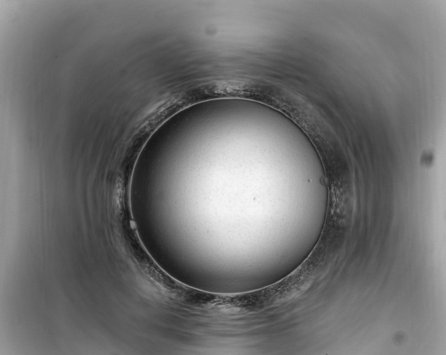 X0000099520648200805221444