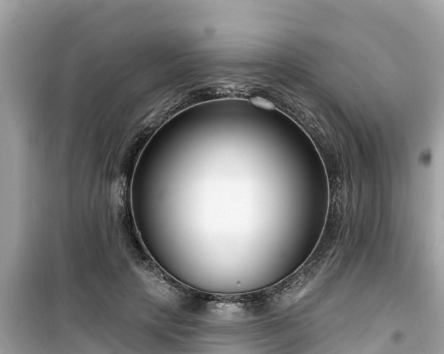 X0000099520649200805221444