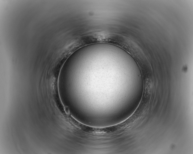 X0000099520650200805221444