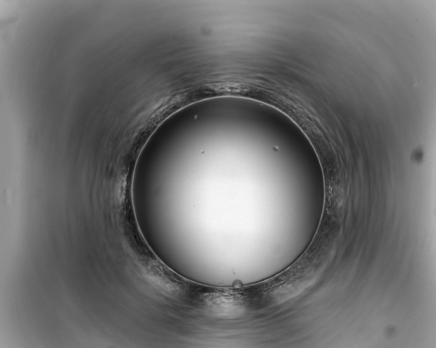 X0000099520652200805221444