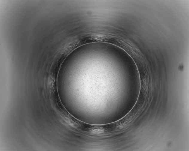 X0000099520653200805221444