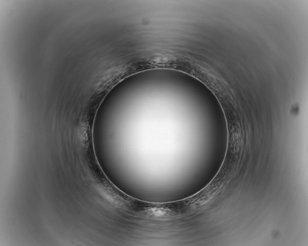 X0000099520654200805221444