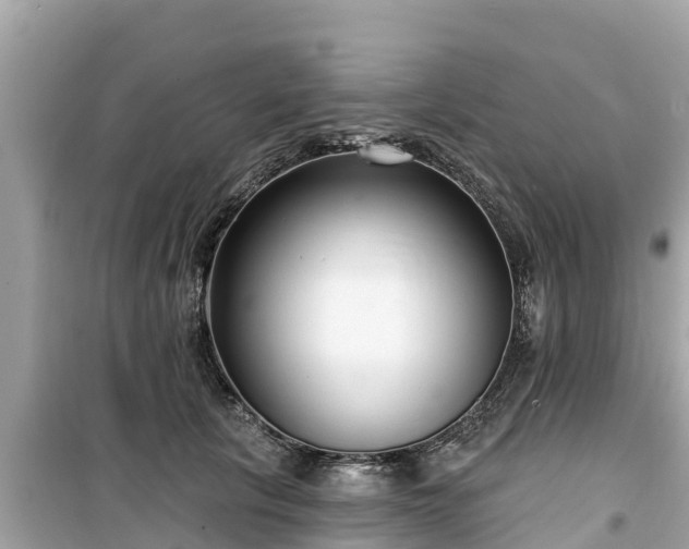 X0000099520657200805221445