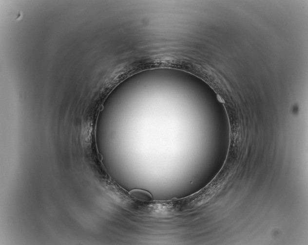 X0000099520660200805221445