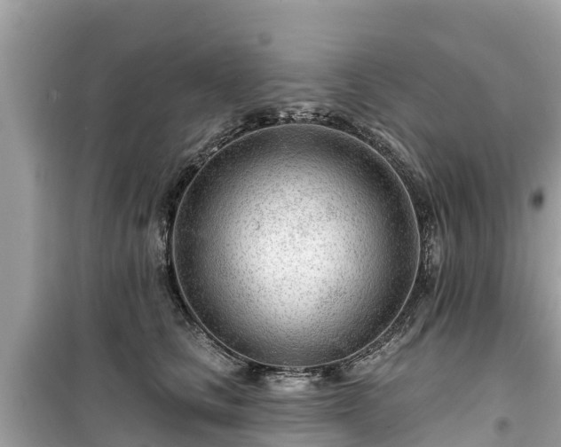 X0000099520661200805221445