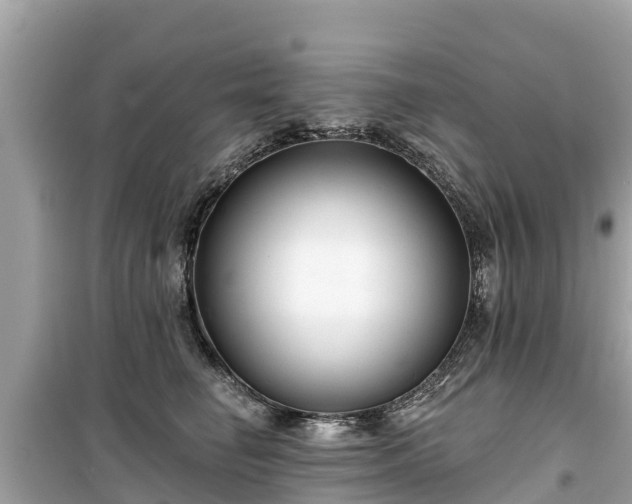 X0000099520662200805221445