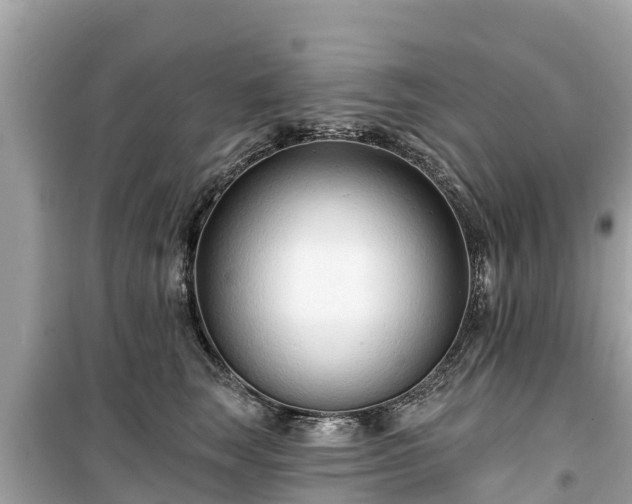 X0000099520663200805221445