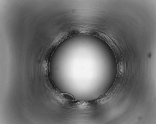 X0000099520667200805221445