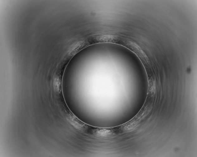 X0000099520669200805221445