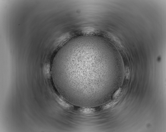 X0000099520670200805221445