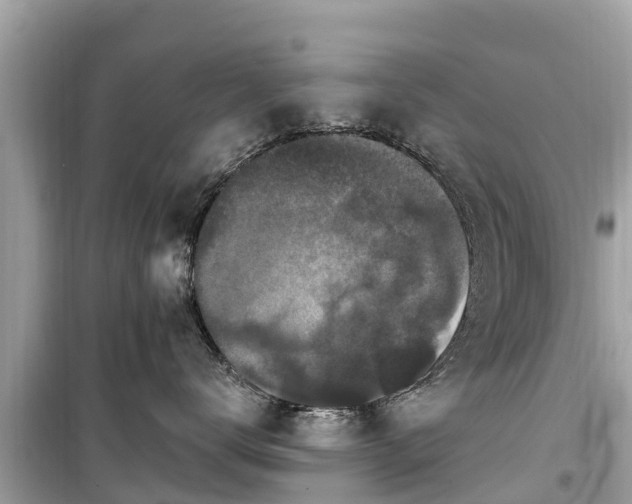 X0000099520672200805221445