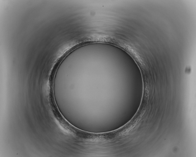 X0000099520674200805221444