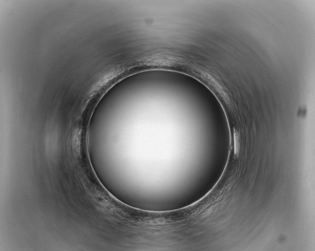 X0000099520675200805221444