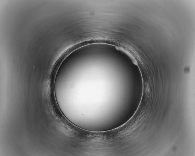 X0000099520676200805221444