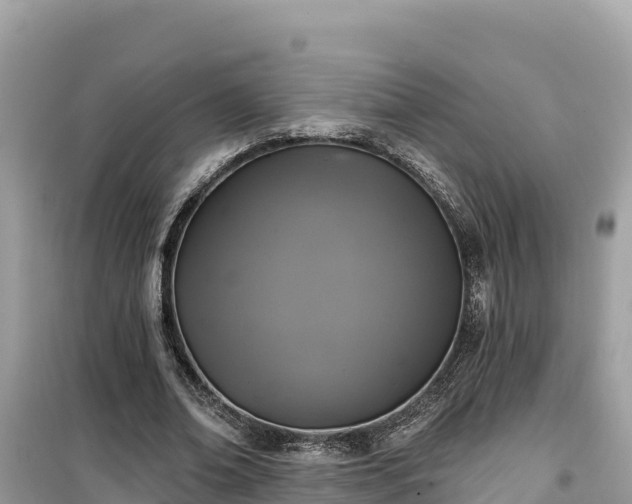 X0000099520678200805221444