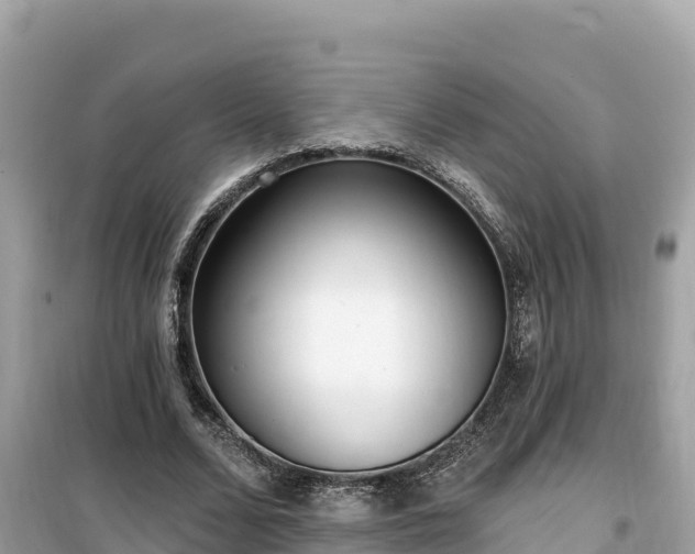 X0000099520680200805221444