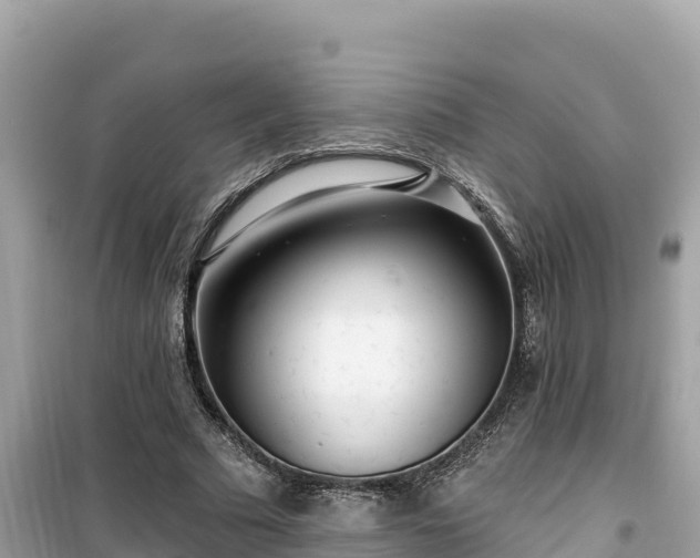 X0000099520681200805221444
