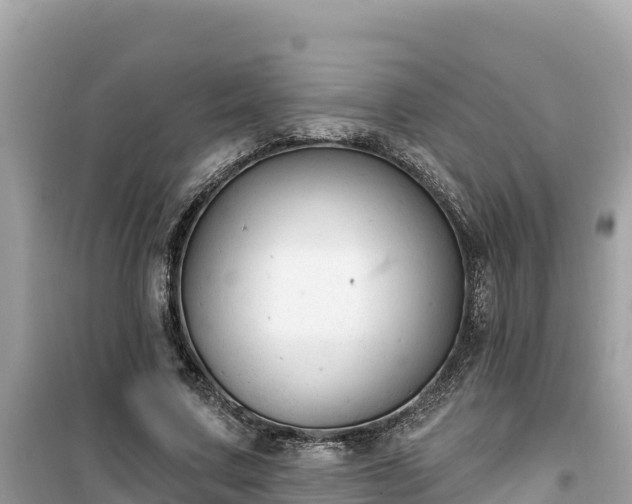 X0000099520683200805221444