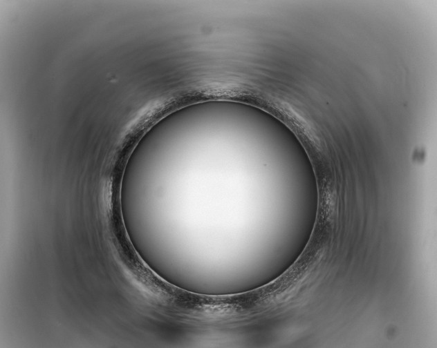 X0000099520686200805221444
