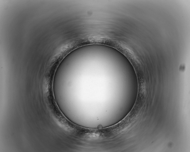X0000099520687200805221444