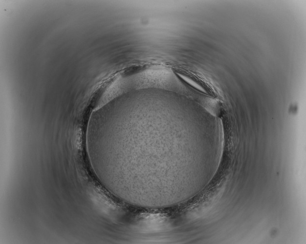 X0000099520689200805221444