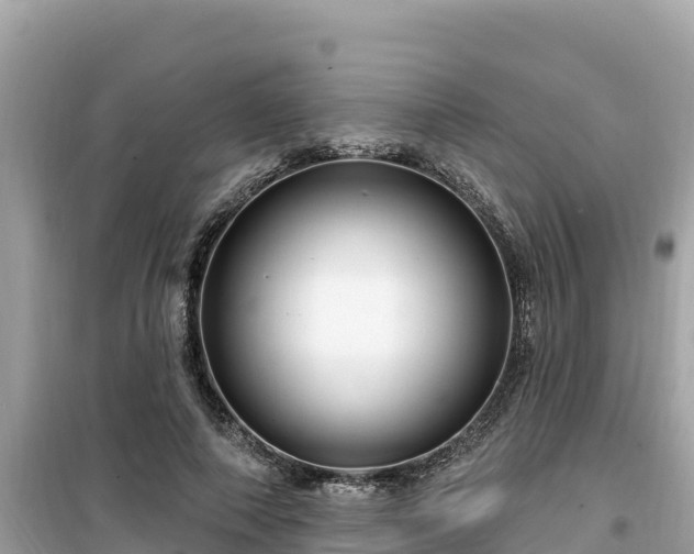 X0000099520690200805221444