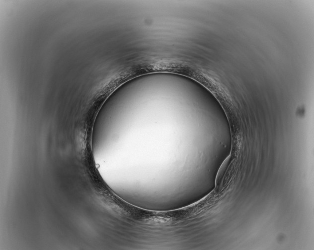 X0000099520691200805221444