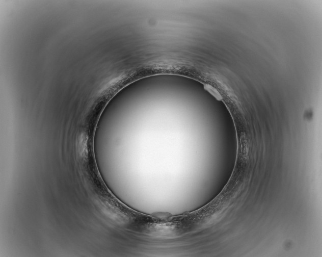 X0000099520692200805221444