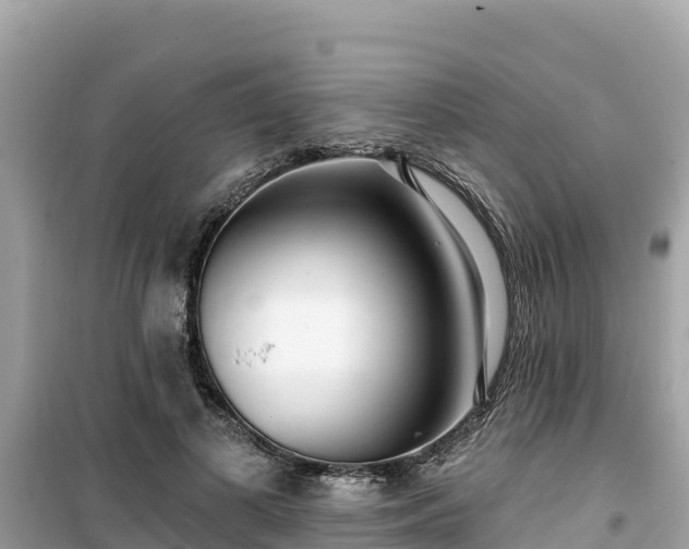 X0000099520693200805221444