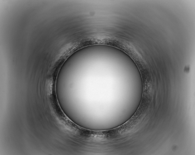 X0000099520694200805221444