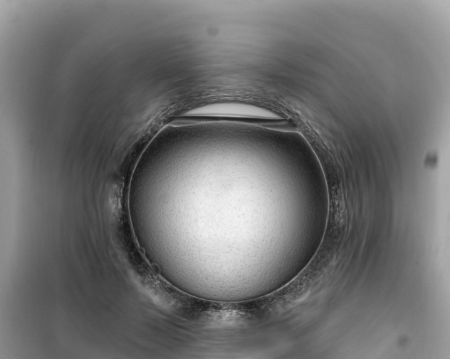 X0000099520695200805221444