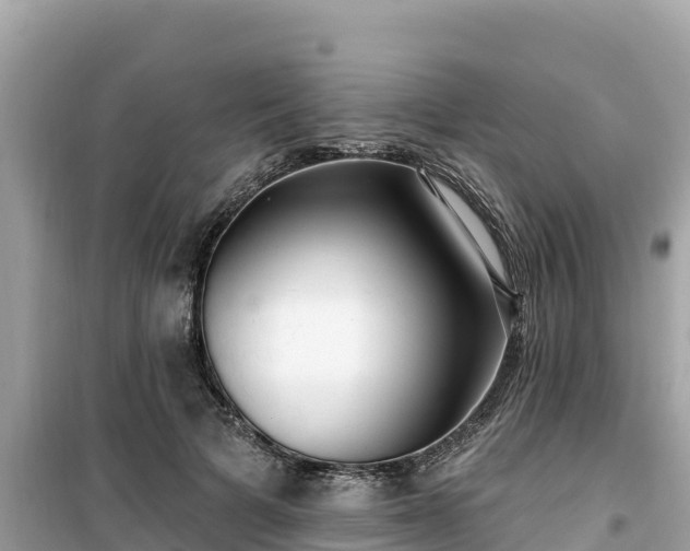 X0000099520697200805221444