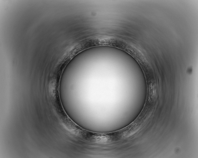 X0000099520698200805221444