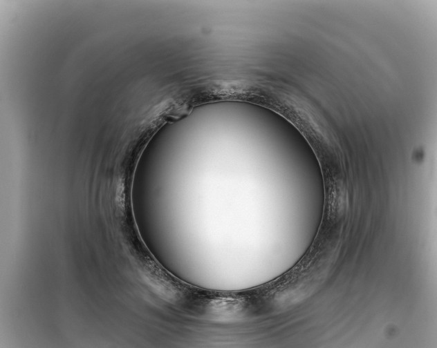 X0000099520700200805221444