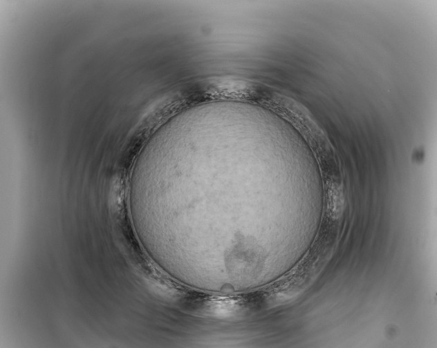 X0000099520701200805221444