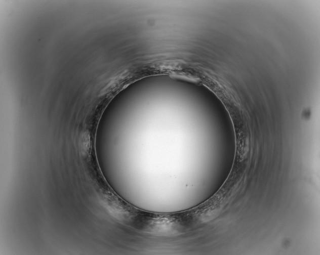 X0000099520704200805221444