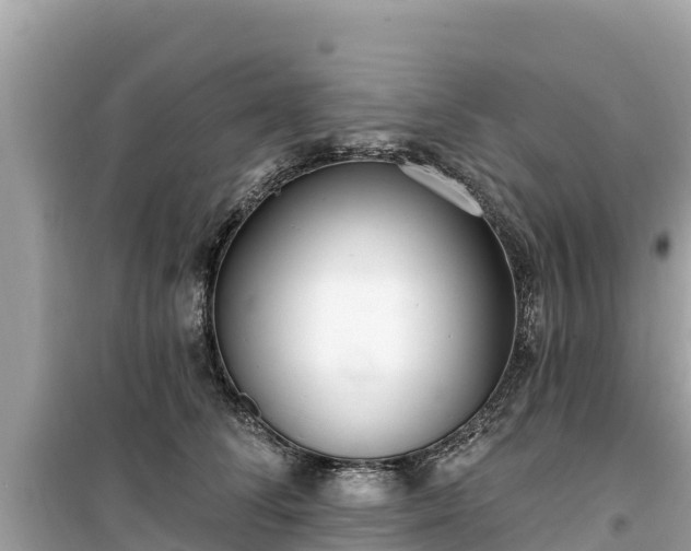 X0000099520708200805221444