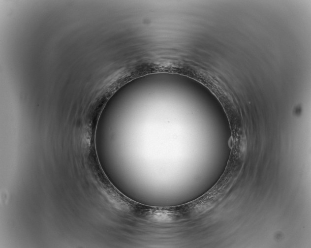 X0000099520710200805221444