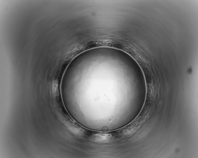 X0000099520711200805221444