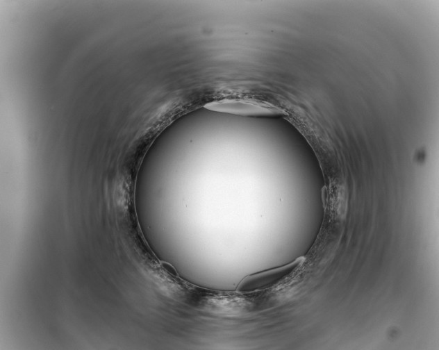 X0000099520712200805221444