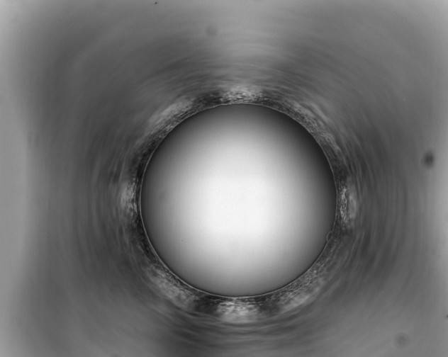 X0000099520714200805221444