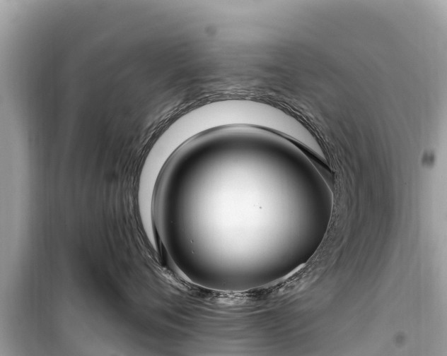 X0000099520720200805221443