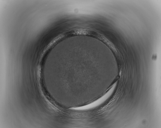 X0000099520722200805221443