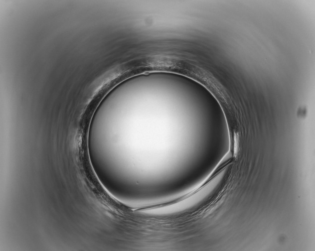 X0000099520723200805221443