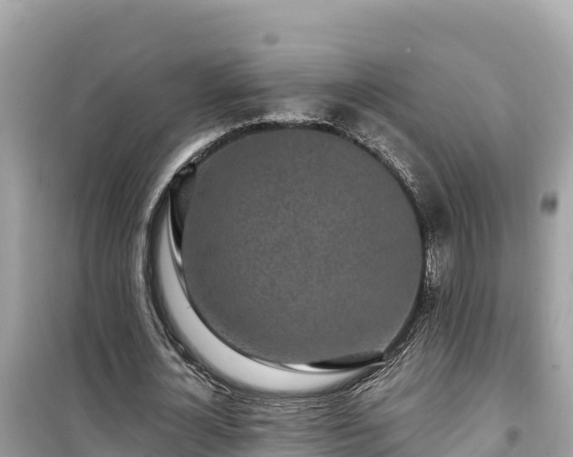 X0000099520724200805221443