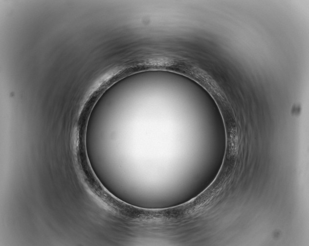 X0000099520726200805221443