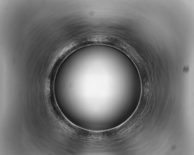 X0000099520727200805221443
