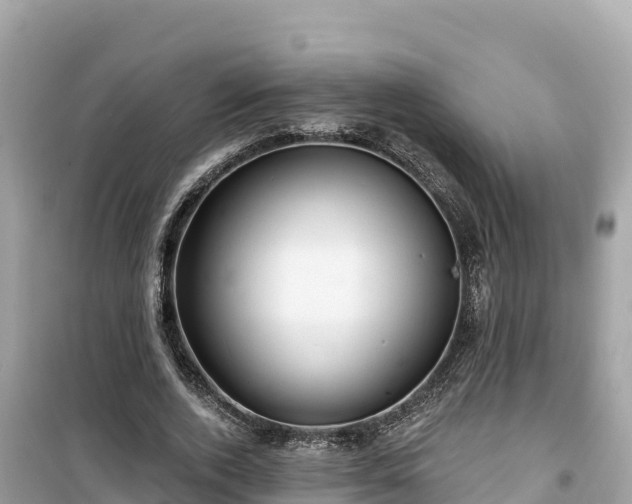 X0000099520728200805221443