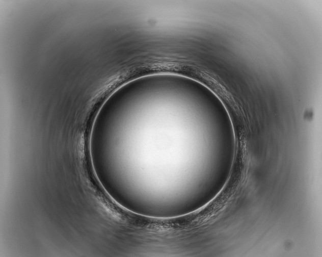X0000099520729200805221443